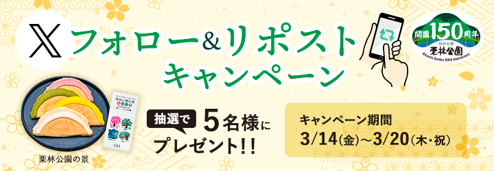 Xフォロー&リポストキャンペーンキャンペーン